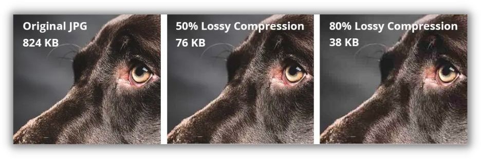 SEO update- three images of different compressions that look similar.