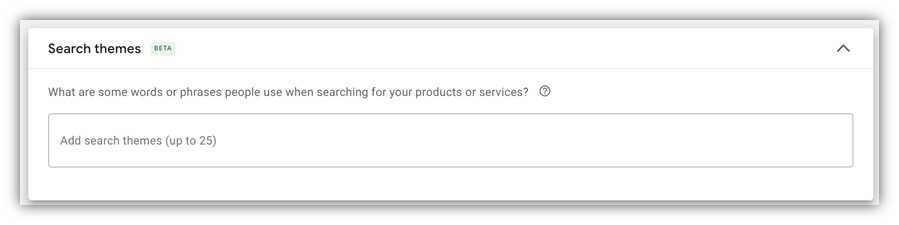 google ads performance max campaigns - search themes example