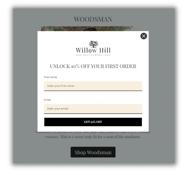 Lead generation examples - Willow Hill popup with discount.
