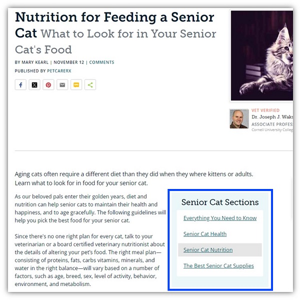 google algorithm updates - example small business blog post with table of contents built in