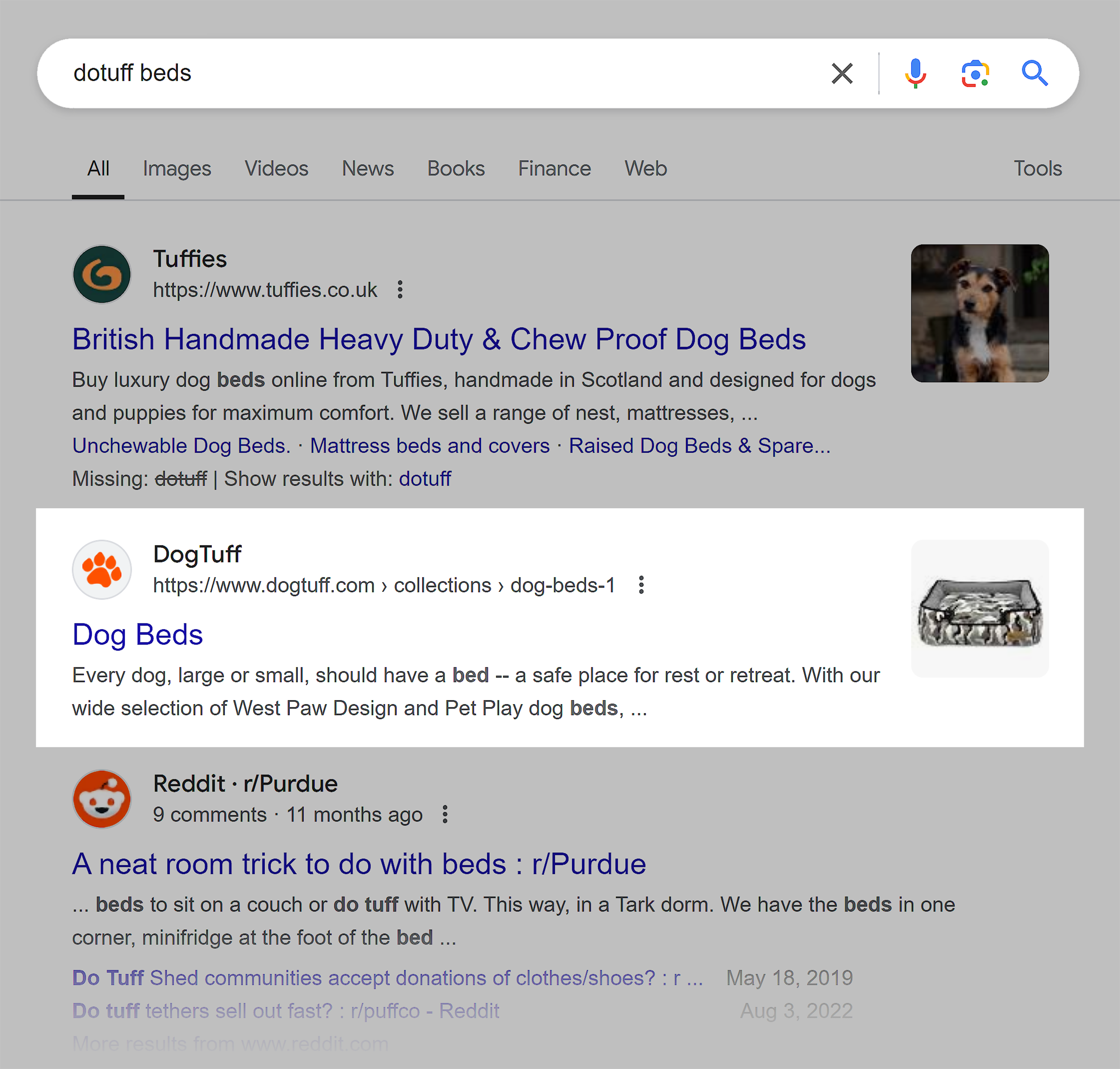 Google SERP – Dogtuff beds