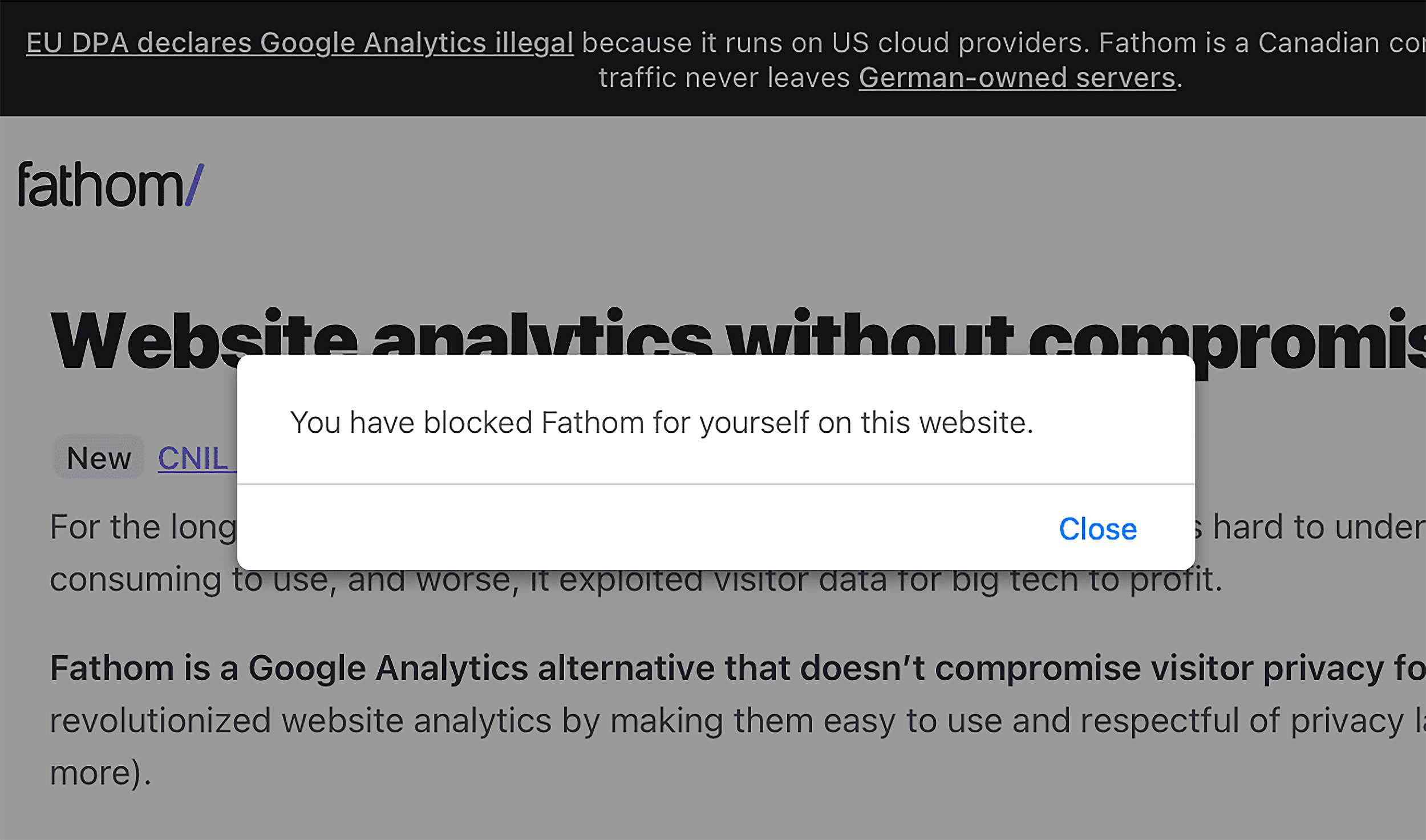 Fathom Analytics – EU user addresses are blocked by default