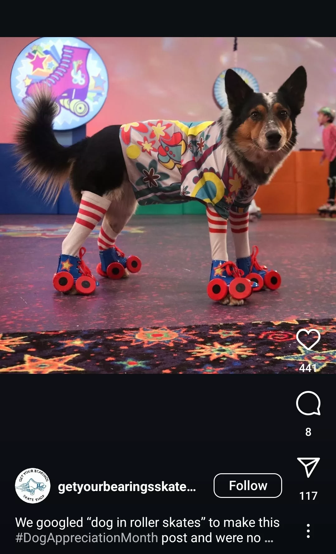 Spring content ideas - dog on roller skates social media post.