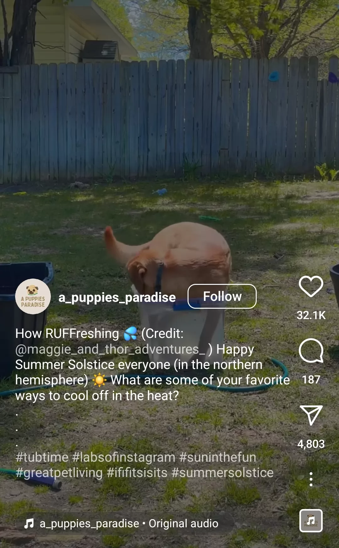 Spring content ideas - Funny social media post for Summer Solstice.