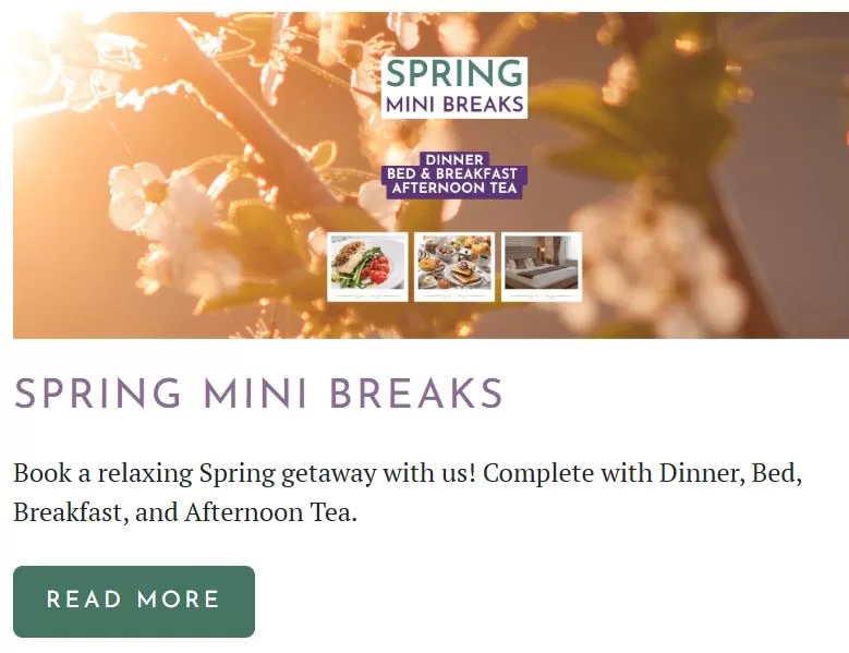 spring greetings - services spring message