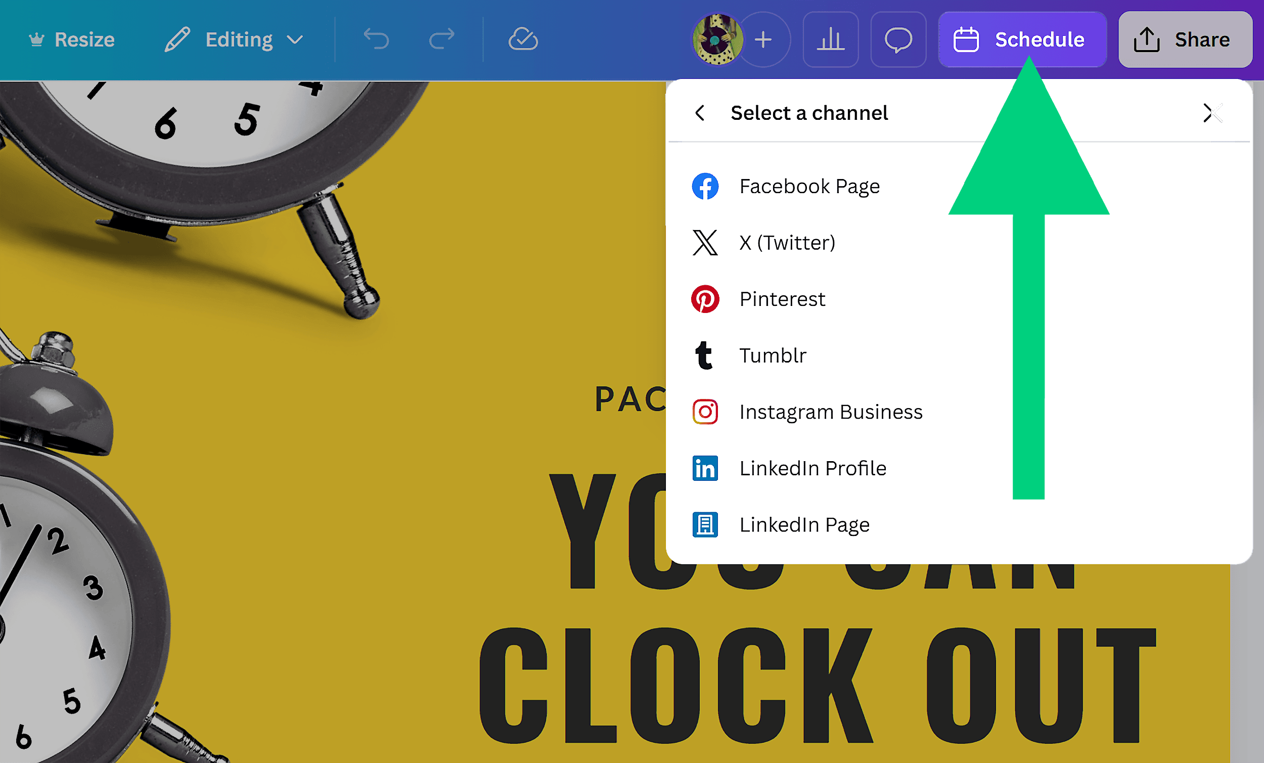 Canva – Schedule design