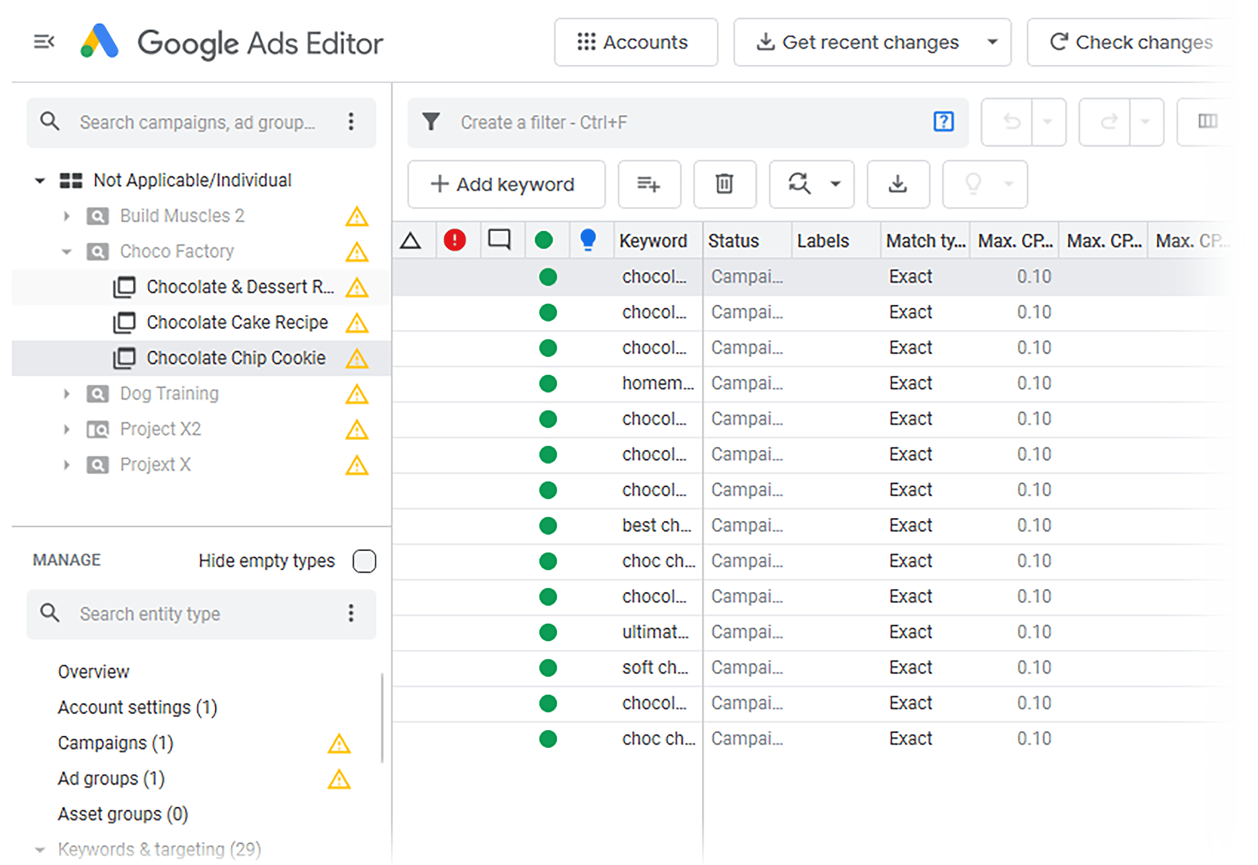 Google Ads Editor – Campaign – Ad group