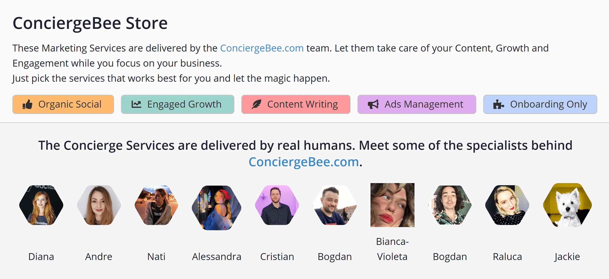 SocialBee – ConciergeBee Store