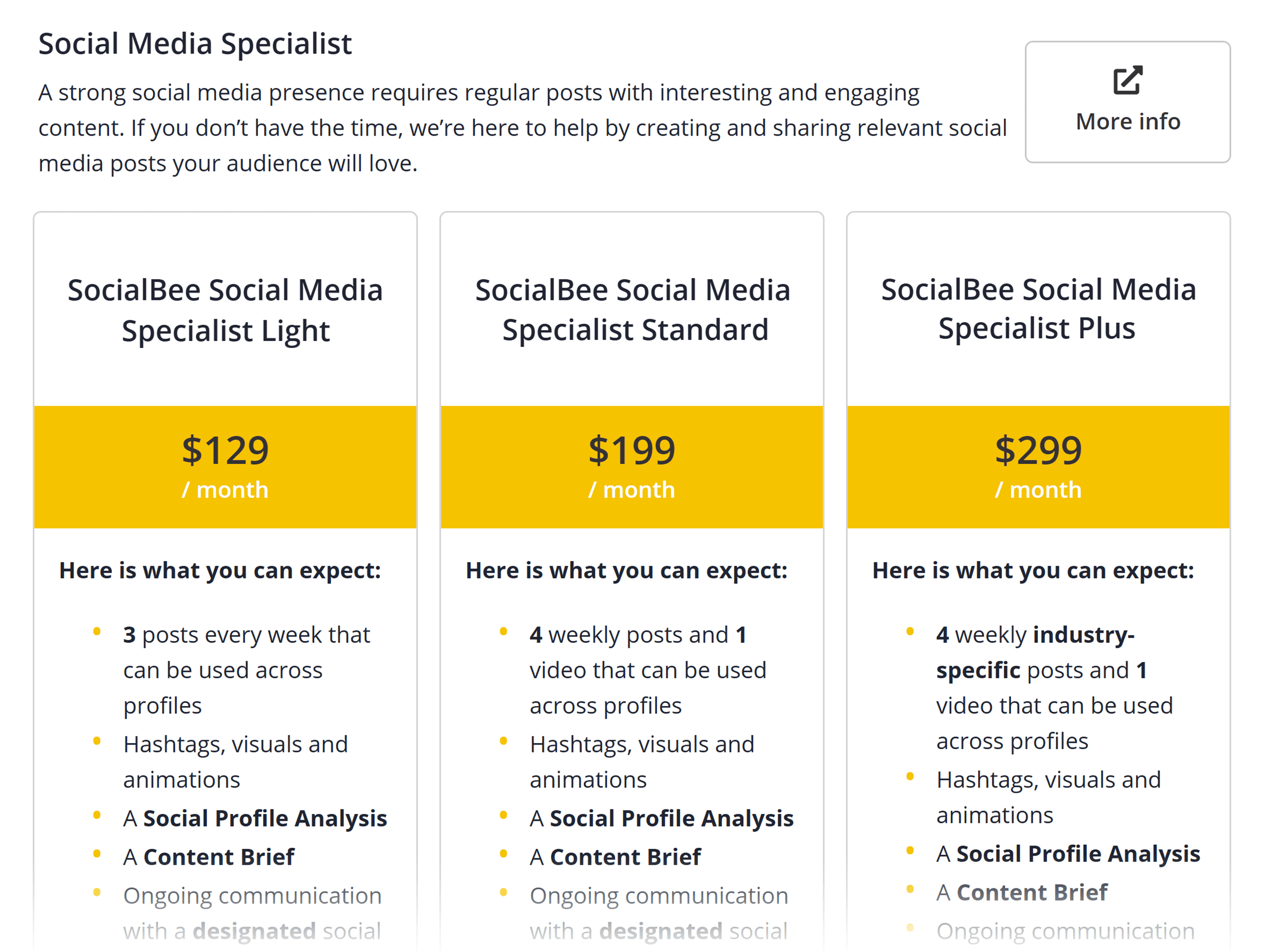 SocialBee – Service packages