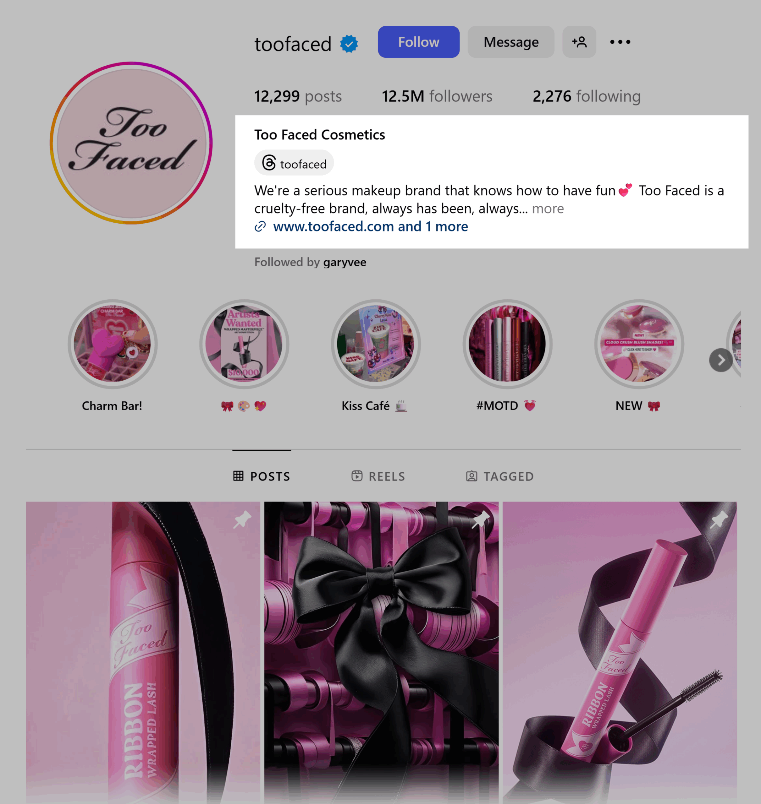 Instagram – Too Faced – Bio