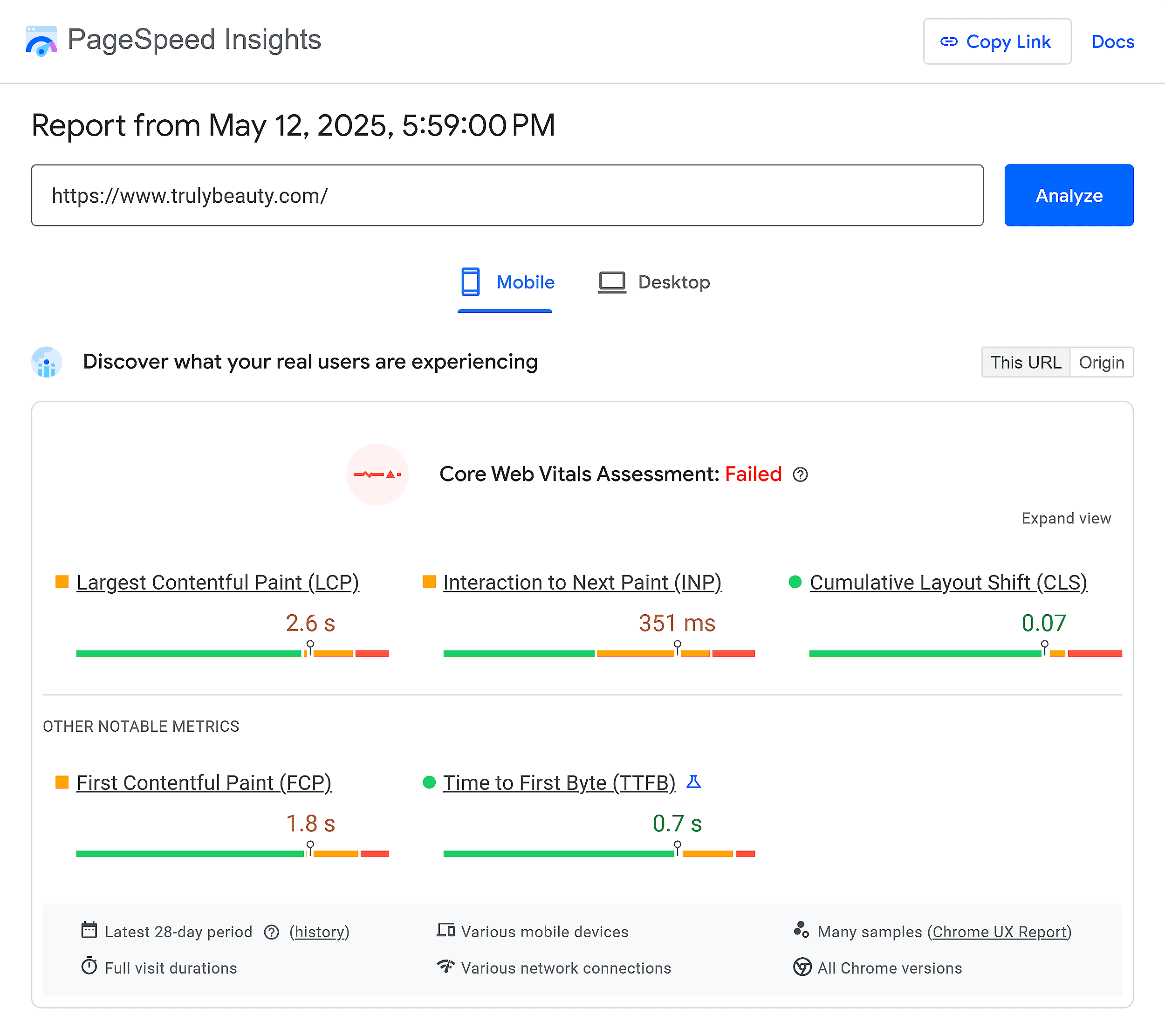 PageSpeed Insights – Truly Beauty