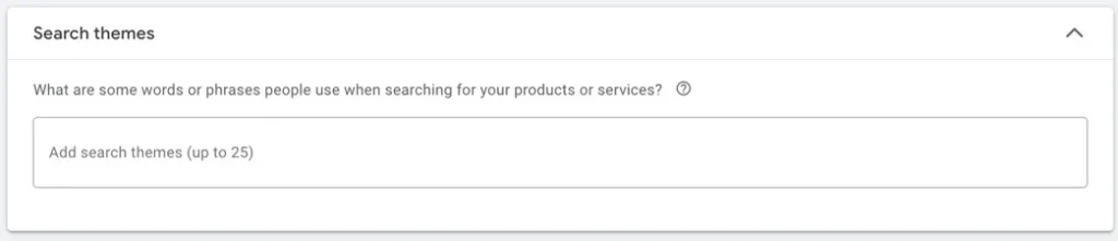 google ads performance max - search themes