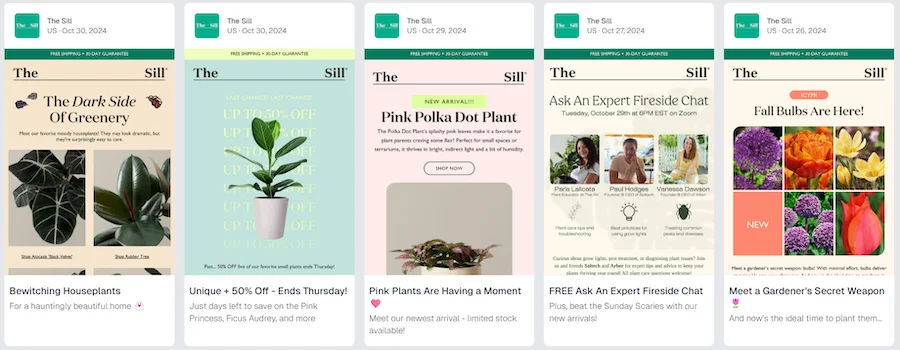 newsletter preview text example from the sill