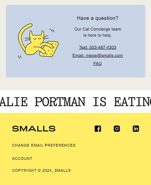 newsletter footer example