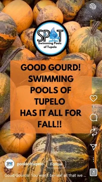 Fall puns - Instagram post with a marketing pun.