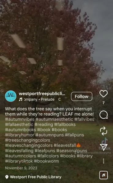 Fall puns - Instagram post with a tree pun.