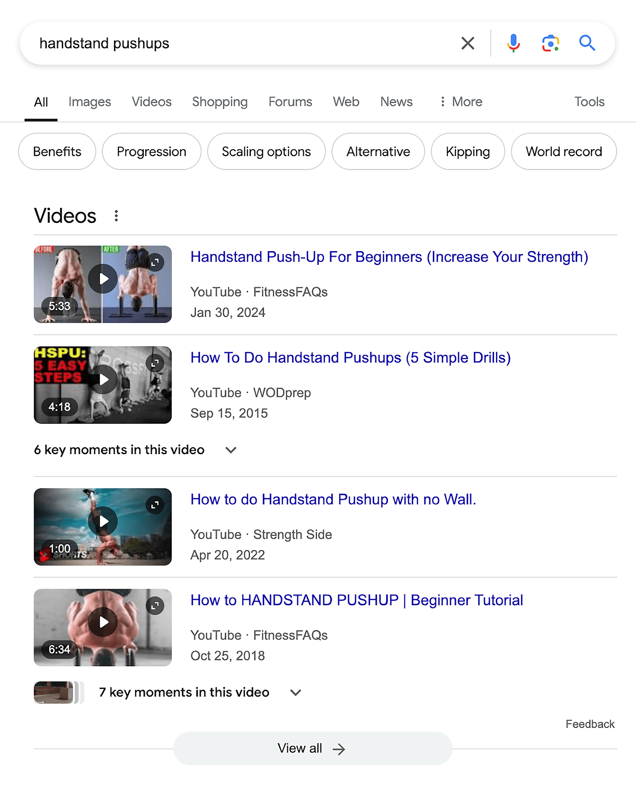 Google SERP – Handstand pushups